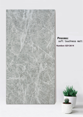 خرید رنگ خاکستری روشن مرمر نگاه مقاوم در برابر خراش 600x1200mm نرم لمس مچ بیرونی پرده دیوار کاشی برای باغ ساخت آنلاین