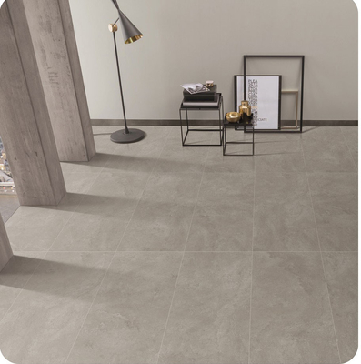 W.A 0.5% خاکستری 600x1200mm کف بیرونی صورت نوزاد شیشه ریترو برزیلی برای پروژه