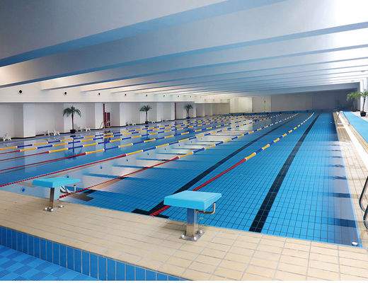 S003 Lane 24kg / Carton Deramic Decking Tiles استخر شنا ، کاشی لبه لعاب 115x240mm