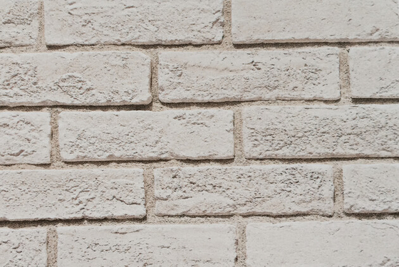 SGS White Faux Art ونیر آجر سنگی پرورشی 60x200mm